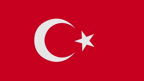 Turkey flag with animated light sweep Stock Footage 309883691