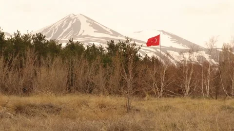 Turkey flag appears flying in the forest in the spring in Erzurum. patriotism Stock Footage 152578736