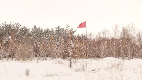 Turkey flag appears flying in the middle of the forest in the winter in Erzurum Stock Footage 149987579