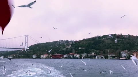 Turkey flag close-up. The fluttering of the Turkish flag against the backdrop of Vídeo Stock 207413373