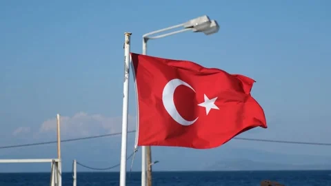 Turkey Flag 動画素材 194486483