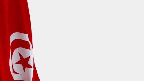 Turkey Flag on Left Side, Waving National Symbol with Copy Space Vídeos de archivo 336166235