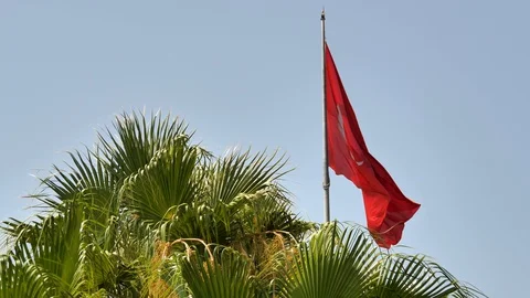 Turkey flag in the wind over palm trees. Video stock 129221891