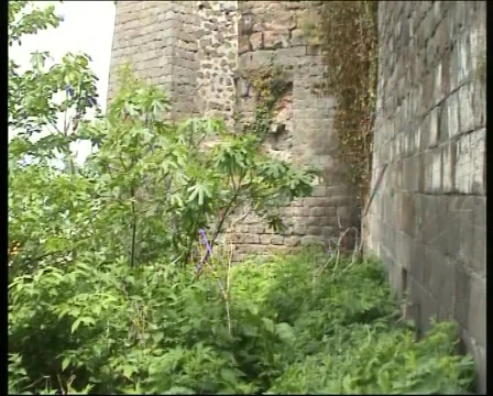 Turkey Video stock 1105772