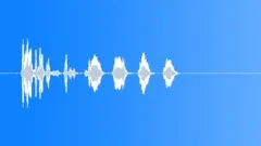 Turkey Gobble and Squawking 1Sound Effect