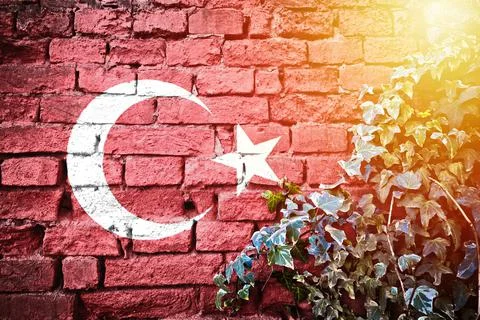 Turkey grunge flag on brick wall with ivy plant sun haze view Stock Illustration