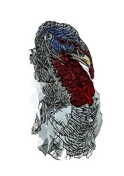 Turkey head vector illustration Stock Illustration