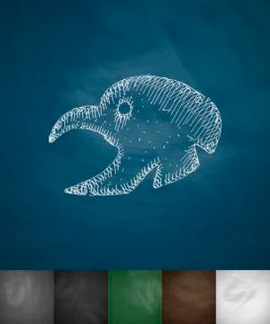 Turkey icon. Hand drawn vector illustration Illustration