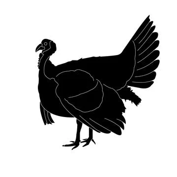 Turkey icon Stock Illustration