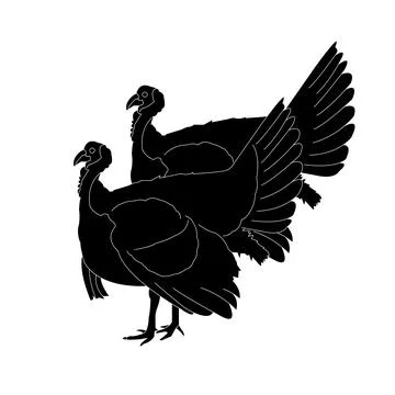 Turkey icon Illustration