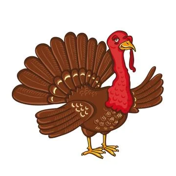 Turkey isolated on the white background Stock Illustration