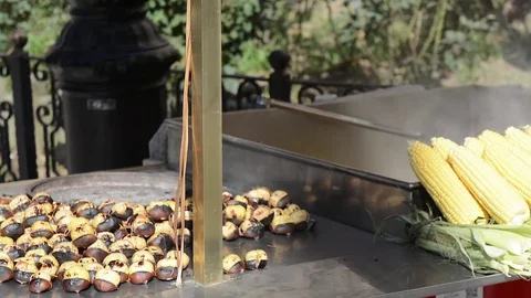 Turkey. Istanbul. fried chestnuts. corn Stock Footage 84265886