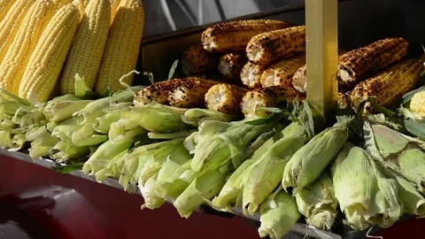 Turkey. Istanbul. fried chestnuts. corn Stock Footage 84265930