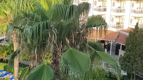 Turkey, Kemer 스톡 동영상 158879158