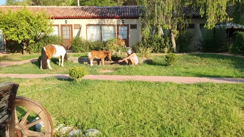 Turkey, Kemer 스톡 동영상 159000503