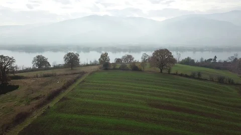 Turkey kocaeli alone tree 03 Stock Footage 104047030