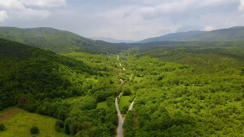 Turkey, Mengen, forests, path, greenery, mountain in distance, drone, oe01 Stock Footage 116827627