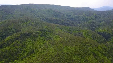 Turkey, Mengen, forests, path, greenery, mountain in distance, drone, oe01 Stock Footage 116827726