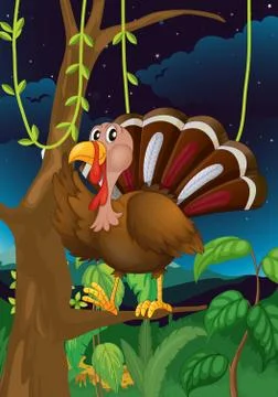 A turkey in the middle of the night Illustration