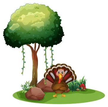 A turkey near the rocks under the tree Illustration