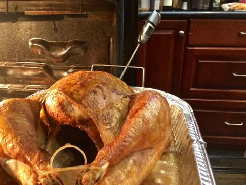 Turkey in oven Stock Photos