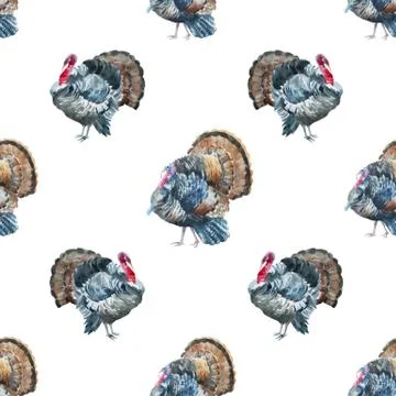 Turkey pattern Stock Illustration