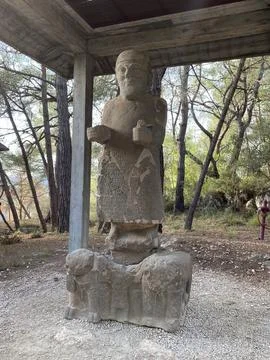 Turkey Fotos de archivo