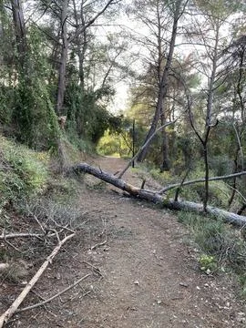 Turkey Fotos de archivo