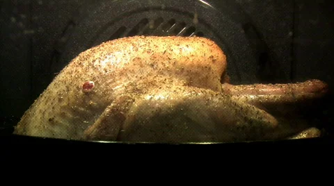 Turkey ready tl hdp Stock Footage 712350