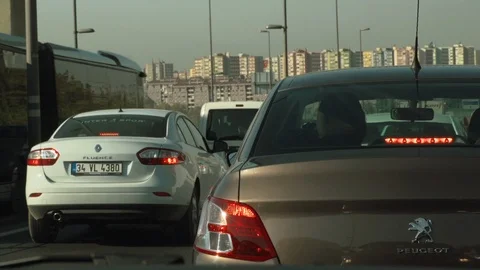 TURKEY ON THE ROAD Stock Footage 87822376