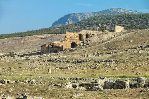 Turkey to the ruins Stock Photos