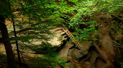 Turkey Run State Park Bear Hollow Stock-Footage 63845090
