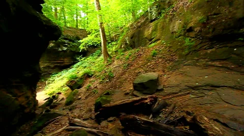 Turkey Run State Park Landscape Видео 58604481