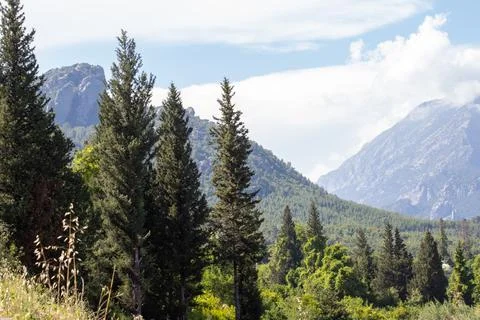 Turkey, Serik: Pine trees covering mountain landscape under sunny sky Stock Photos
