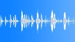 Turkey shoot (cartoon)Stock Music