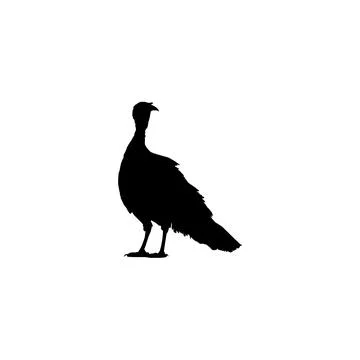 Turkey Silhouette Isolated Stock Illustration