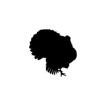 Turkey Silhouette Isolated Stock Illustration