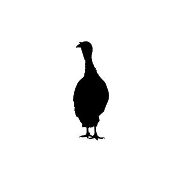 Turkey Silhouette Isolated Stock Illustration