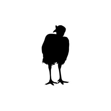 Turkey Silhouette Isolated Illustrazione stock