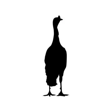 Turkey Silhouette Isolated Stock Illustration