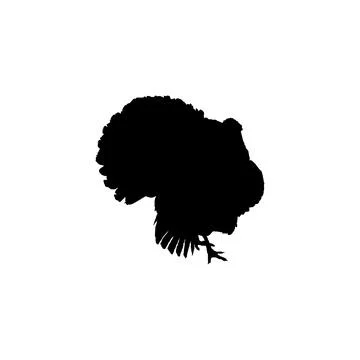 Turkey Silhouette Isolated Stock Illustration