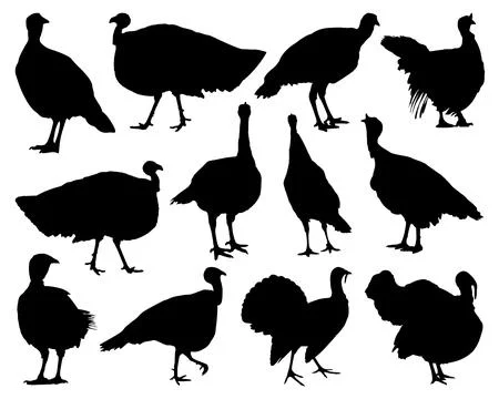 TURKEY SILHOUETTE VECTOR ART Stock Illustration