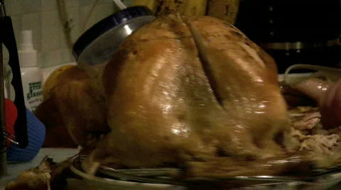 Turkey slice Stock Footage 306906