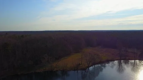 Turkey Swamp Park 库存影片 249674827