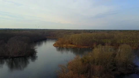 Turkey Swamp Park 库存影片 249674872