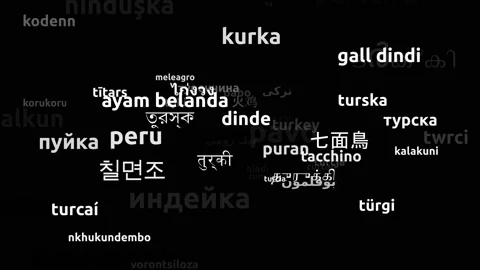 Turkey Translated in 63 Worldwide Languages Endless Looping 3d Zooming Wordcl Stockbeeldmateriaal 145223397
