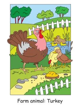 Turkey vector illustration Stock-Illustration
