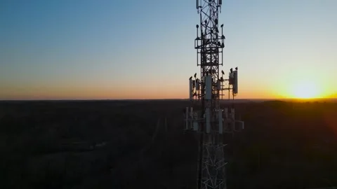 Turkey Vultures Preparing to Roost for the Evening on a Cell Tower at Sunset Stock Footage 305018383