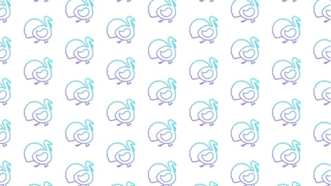 Turkey Walking White Animated Loop Background 4K Stock Footage 217330547