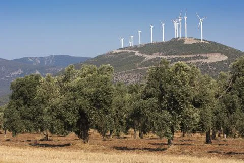 Turkey. Wind generators. Foto stock
